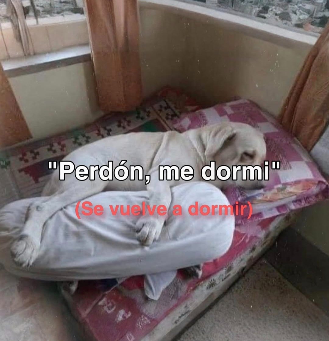 En_jupiter_'s tweet image. 