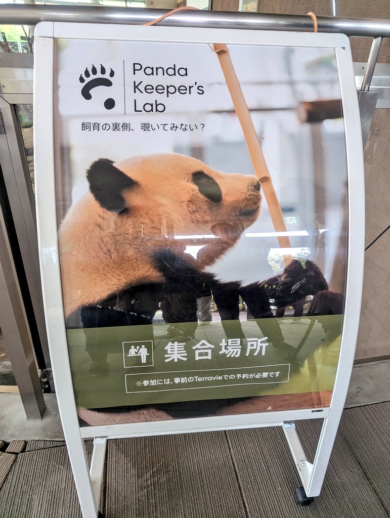 今日はこちらに参加してきました！ 飼育の裏側覗いてきた！🐼🎶 今日の