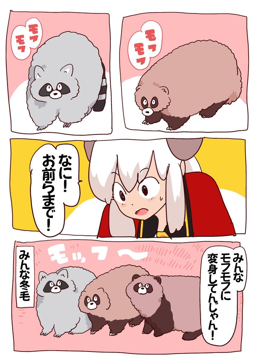 アナグマさんもアライグマさんも冬毛になりました! 