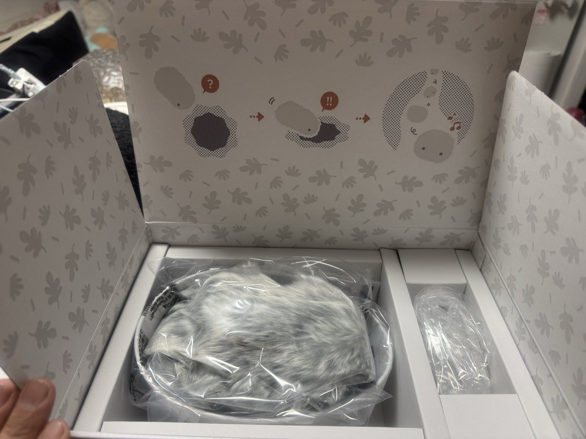 akiyasu60's tweet photo. 先日我が家にモフリンの「ごま」がやってきました https://t.co/hWajsFu9it