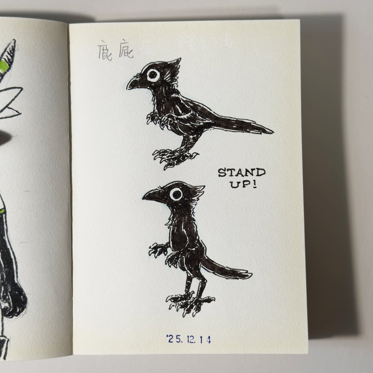 hydrowing's tweet image. 站起來！

順便想吐槽現在手機鏡頭和傳感器越做越大，反而拍攝近處物體時會因此畫面邊緣模糊，真麻煩