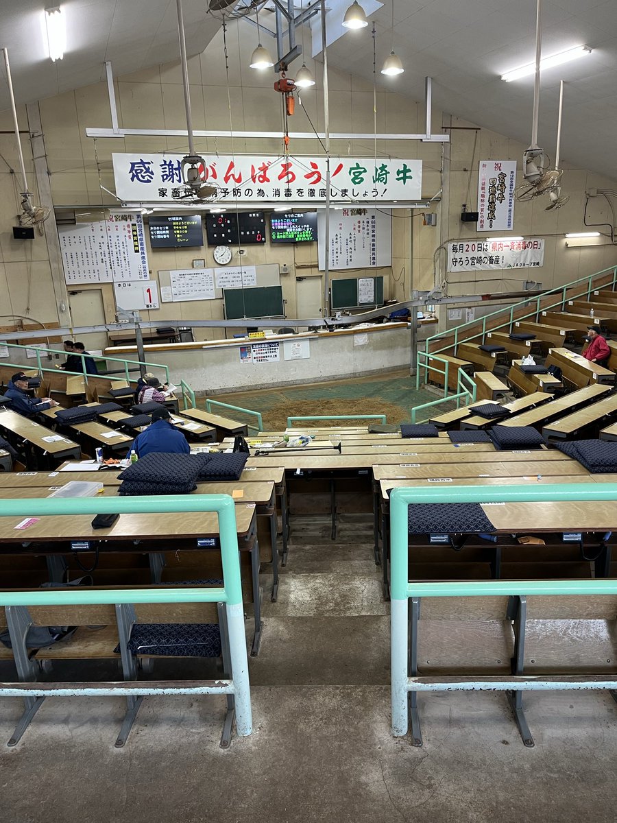nssccom14's tweet photo. 今日は小林子牛市場に初でした！
前日からいろいろお世話になりました。
下見の時点で眠気と二日酔いが大変でした😵
また機会がありましたらよろしくお願いします🙇
さよなら宮崎👋 https://t.co/Bs8XAZ2CtP