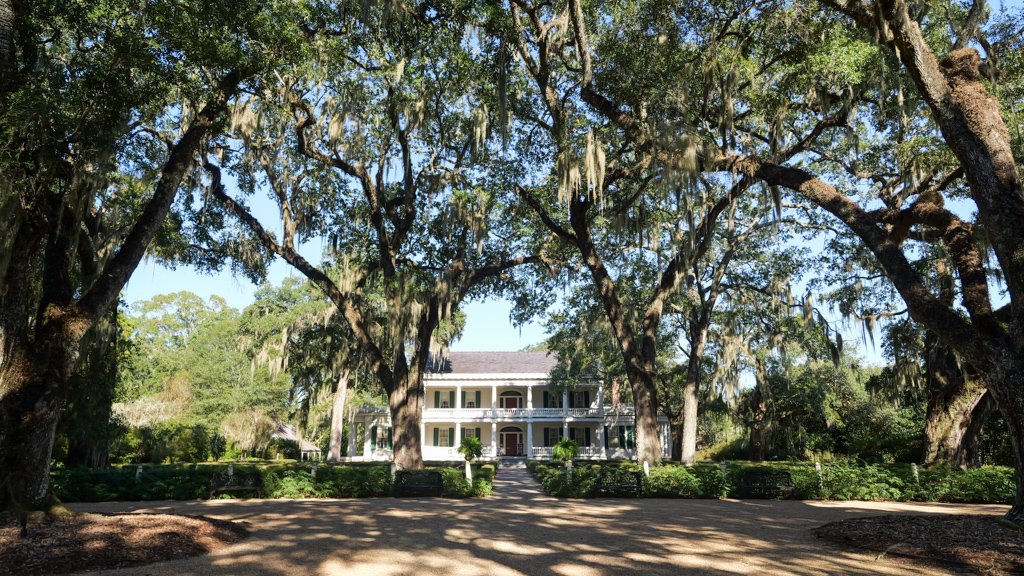 Scott Tisson tweet media