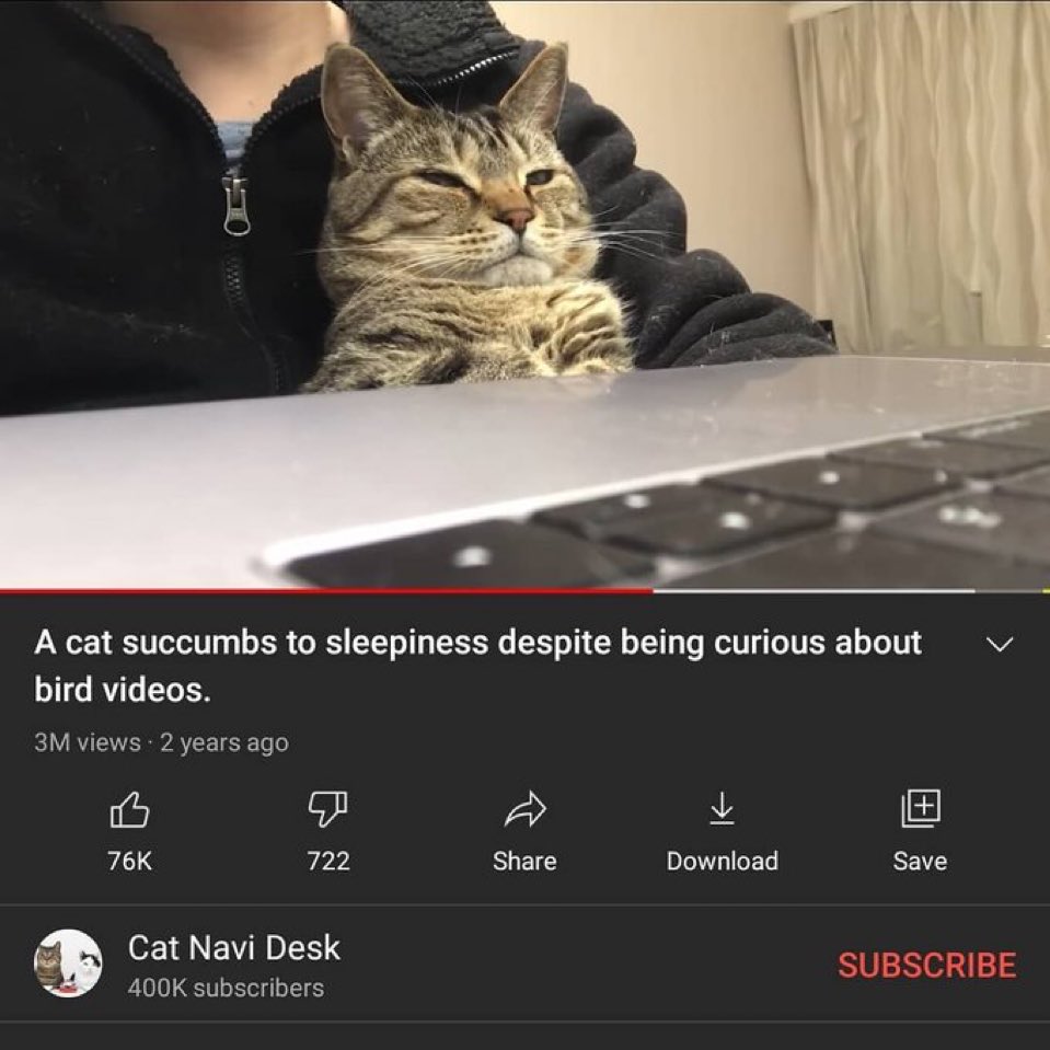 positive side of X 🌞 tweet media