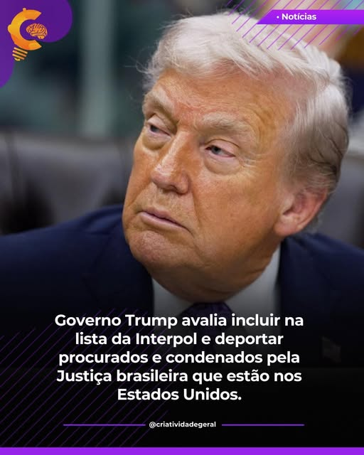 🇧🇷Zelia Fabro22🇧🇷 tweet media