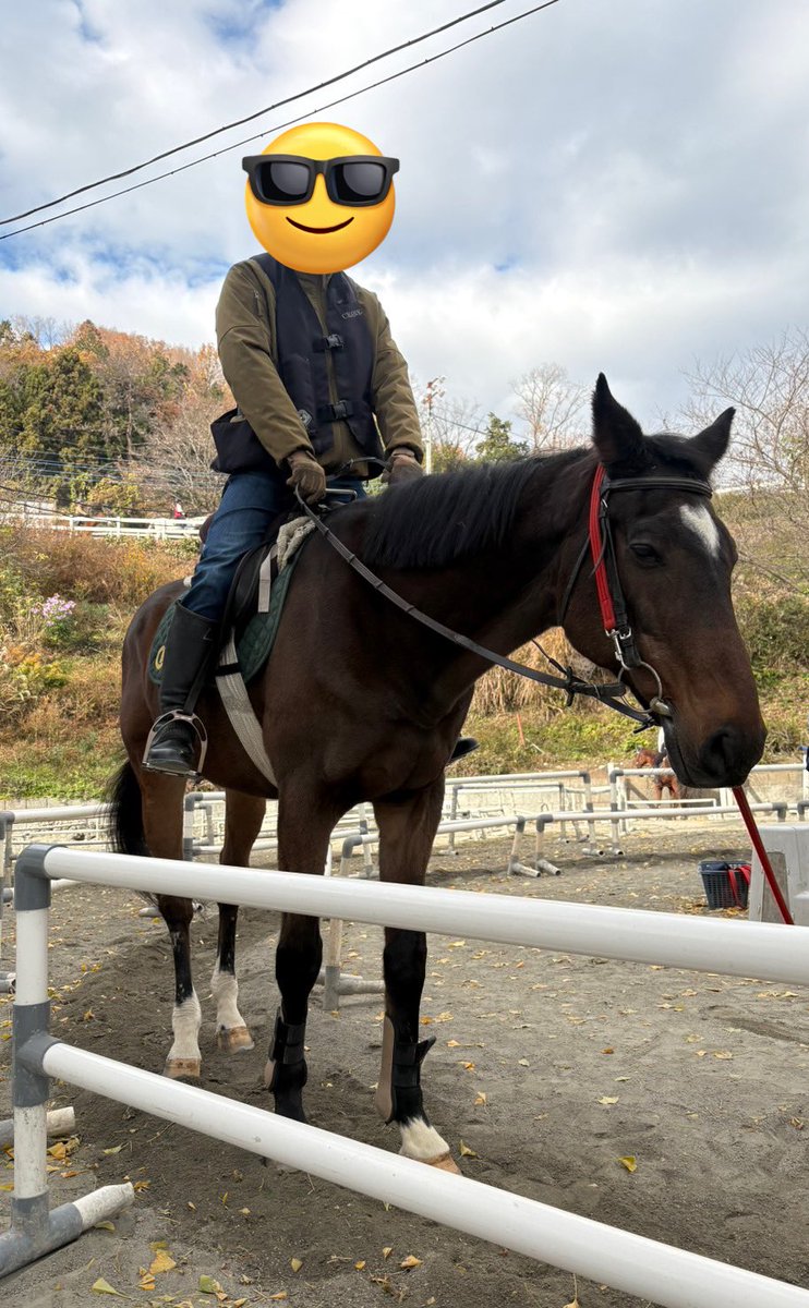 らんだす tweet media