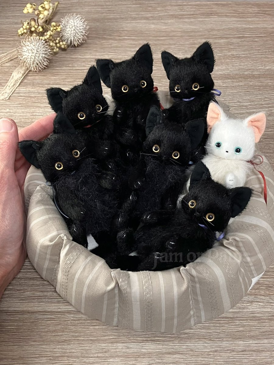 Jam or Pains. (@JamorPains) / Posts / X