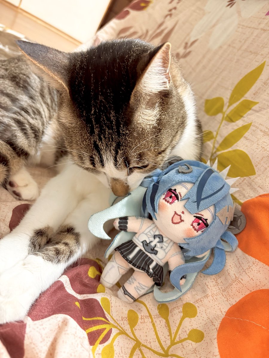 あん豆 (@Anzu_1026) / Posts / X