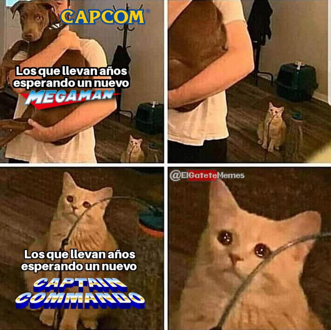 ElGateteMemes's tweet photo. Vamos, Capcom ¡Hazlo!
#CAPCOM #Megaman #RockmanDO #CaptainComando #Arcade https://t.co/ovFmi5M0tA