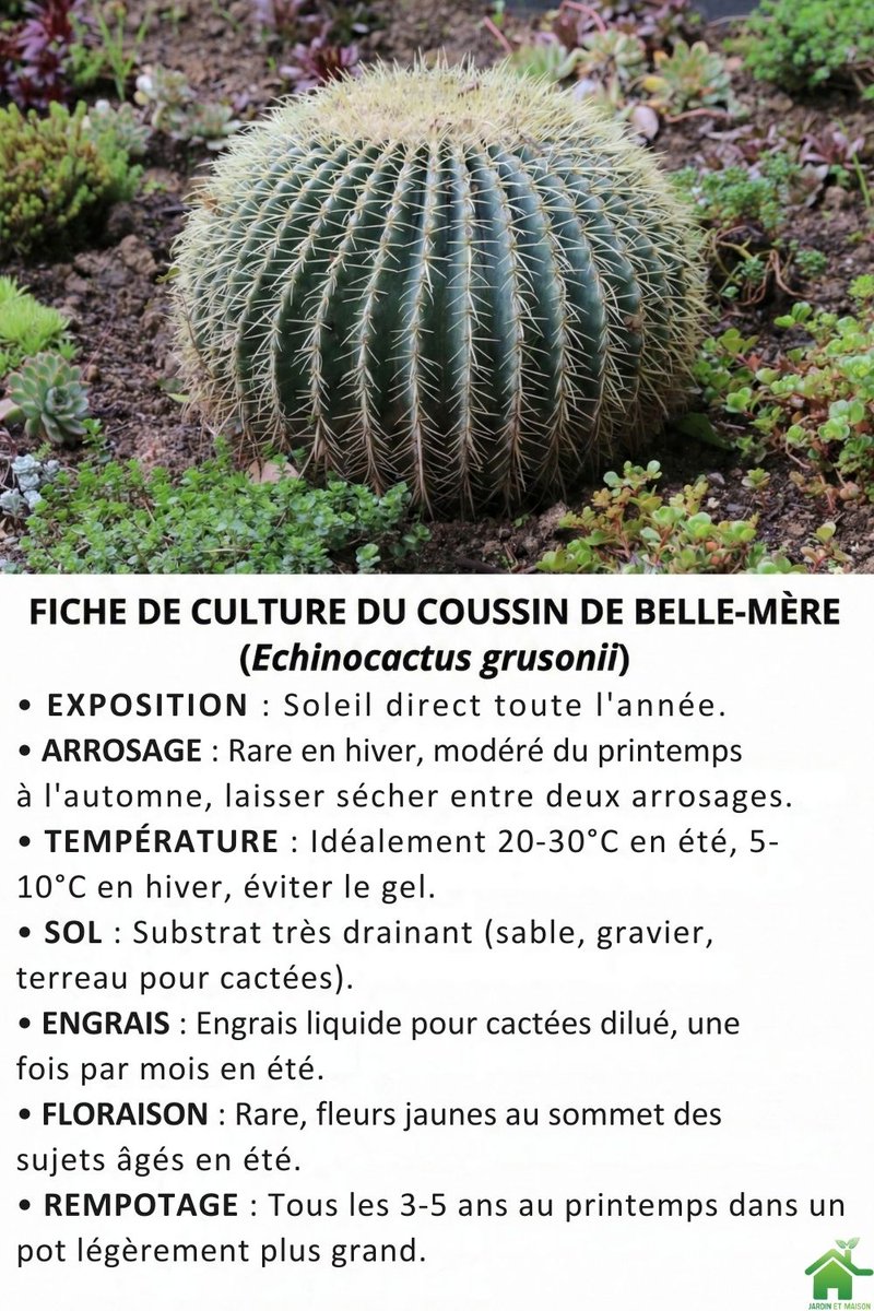 Peut être une idée cadeau pour Noël !?