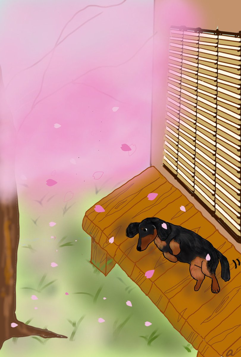 ちろる (@Chirol1122) / Posts / X