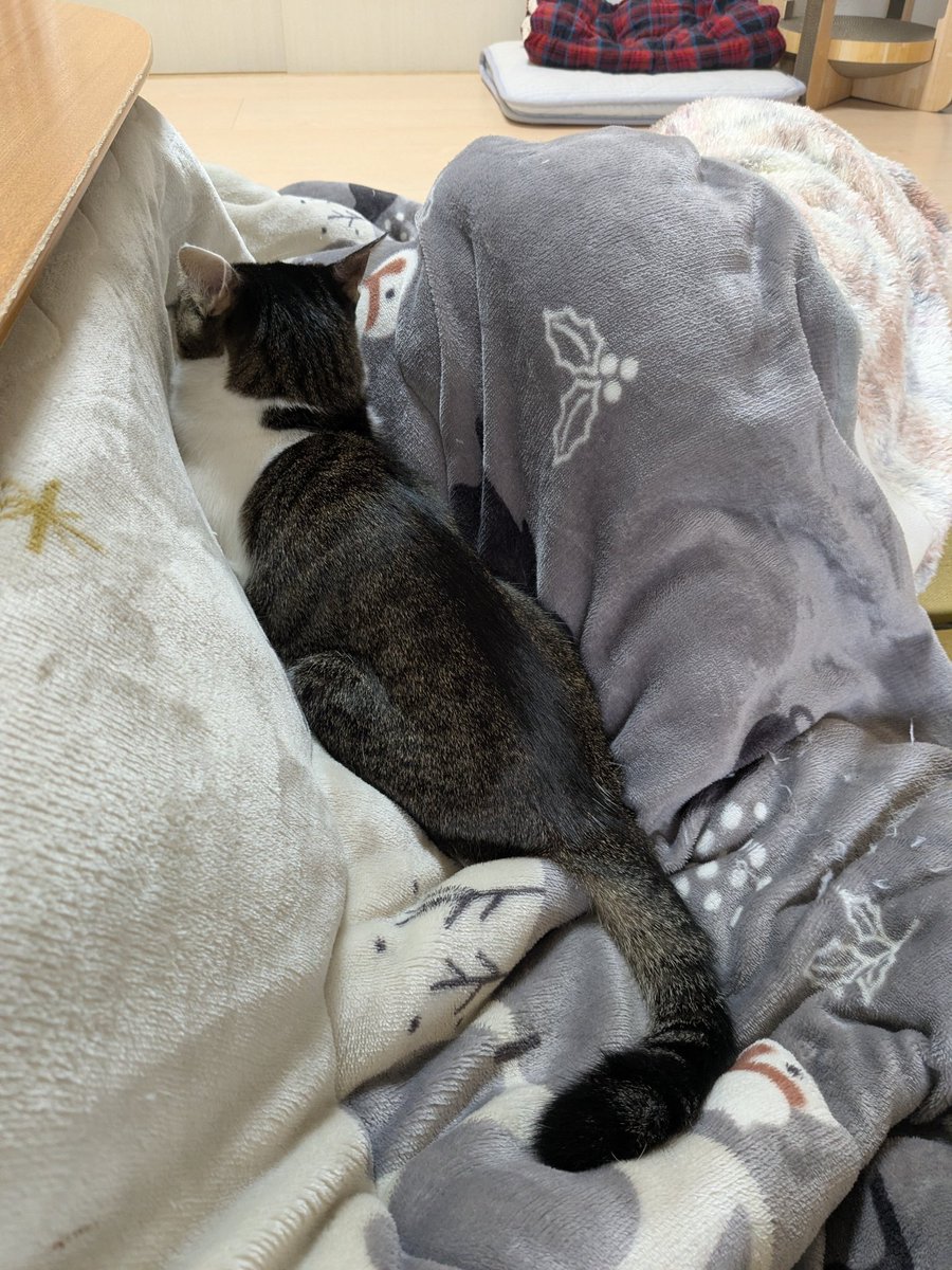 ワカとヤマ (@wakaandyama) / Posts / X