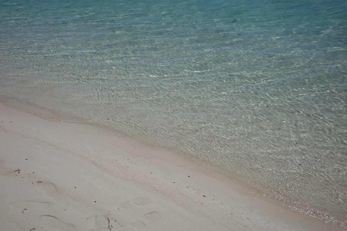 【ブログ更新☀️ 髙橋未来虹】 ここからまた広い世界 hinatazaka46.com/s/official/dia… #日向坂46 #髙橋未来虹