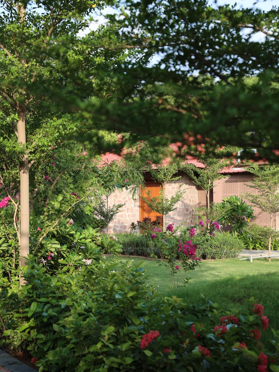 Hansraj06914151's tweet image. Happy Sunday..