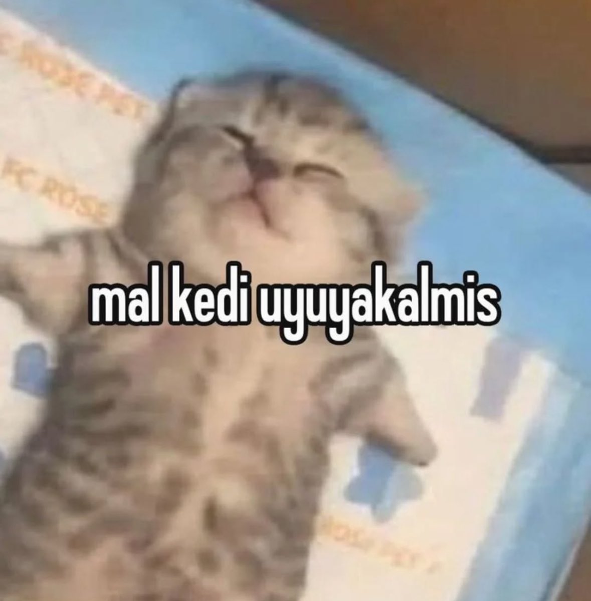 eda tweet media