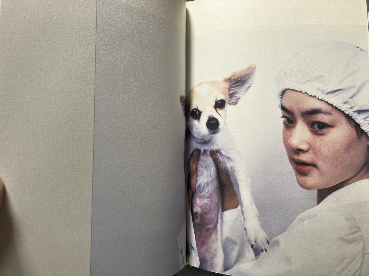 たのしい写真2 ポートレイト市川実日子』ホンマタカシ(平凡社)も