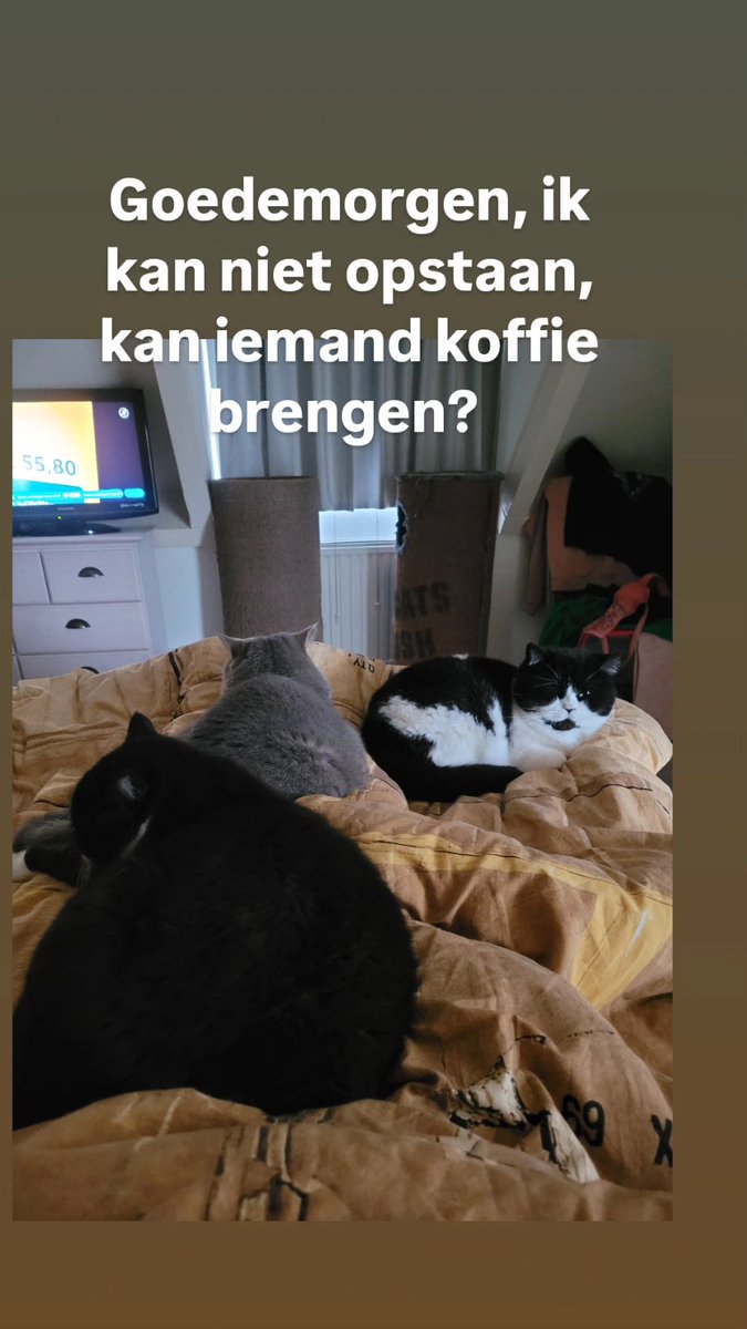 🌱LoezzB 🐾 (@loezzb) on Twitter photo 