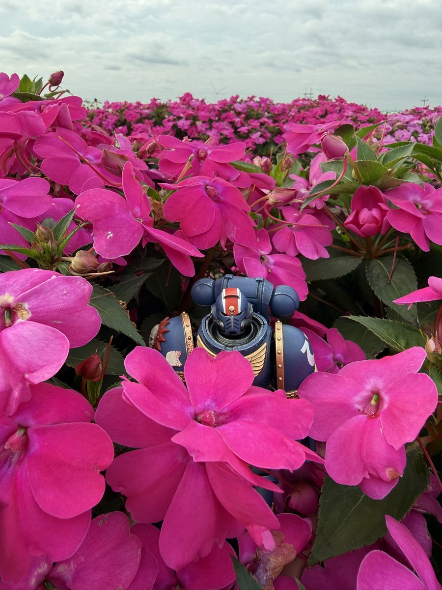 nathm0n's tweet image. 