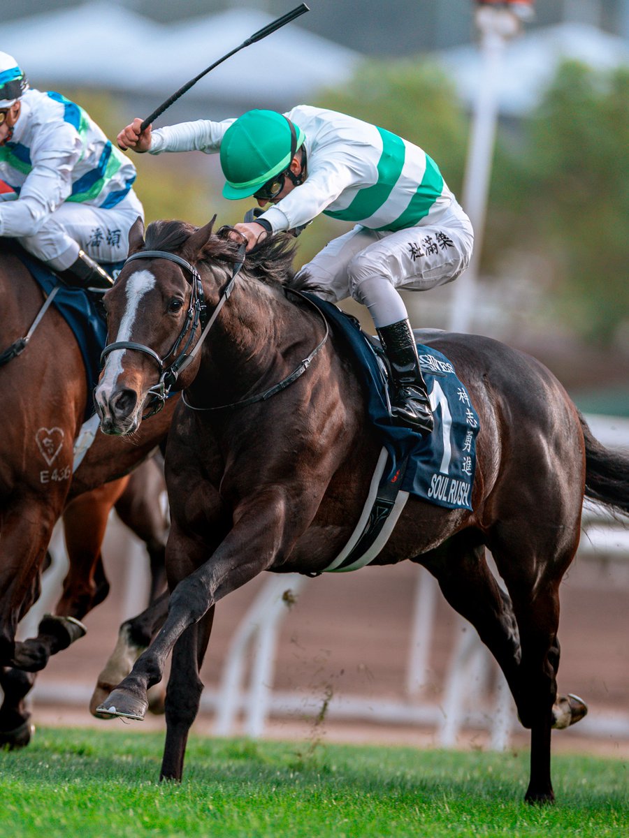 あんず (@anzu311) / Posts / X