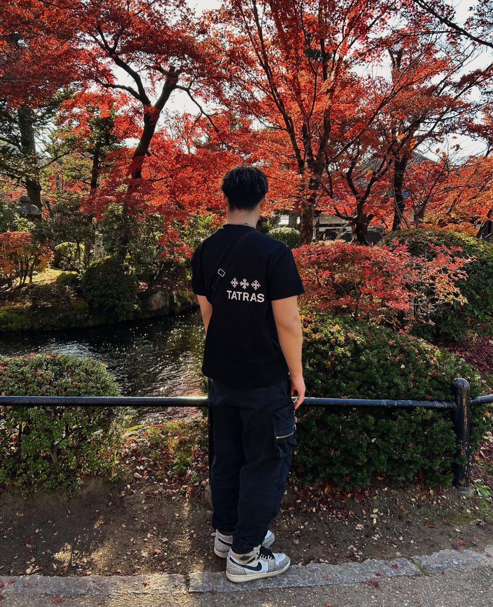 だいかいじゅう tweet media