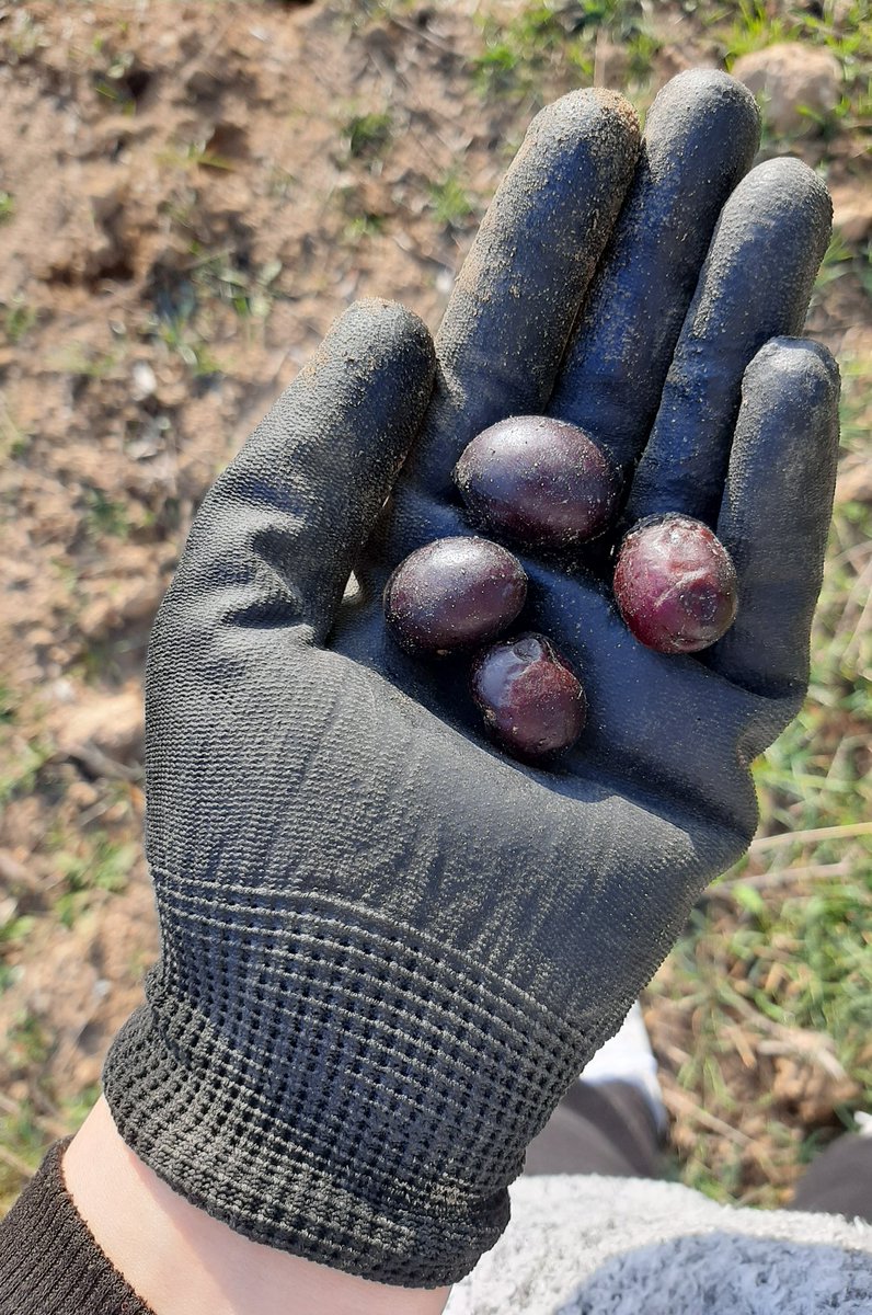 ikitutunamayan's tweet image. Hayatın her alanında varız...🙈🥲❤⚘ #terapi