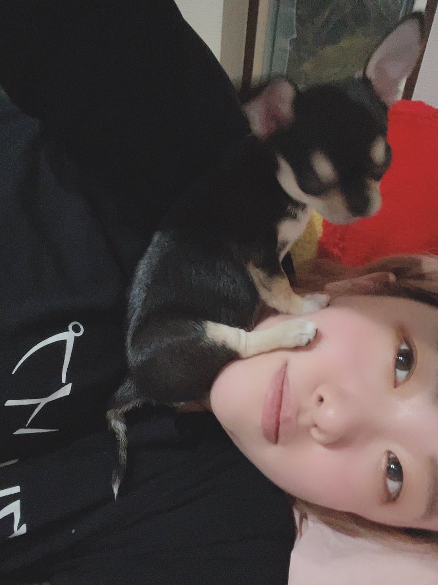 かえで様★専用ページ かえで (@ykaede_) / Posts / X