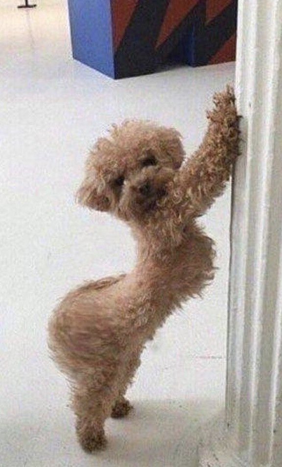 บิดตุดแล้วยิ้มจ่ะ 

NUNEW x DIVA ROADSHOW
#ดีว่าราวี #DivaLaVie