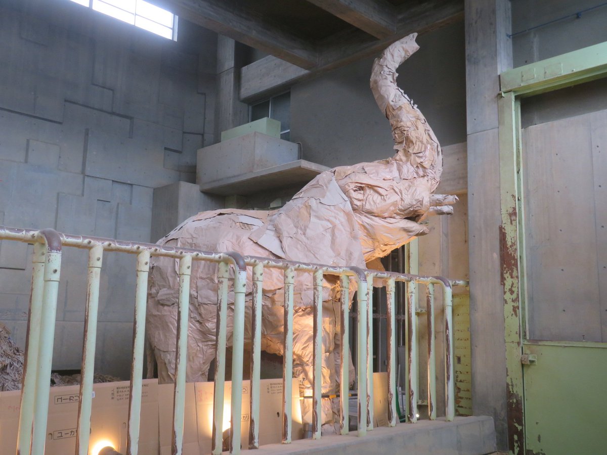 Siamese___Cat's tweet photo. 愛知県立芸術大学×東山動植物園
#PAPERZOO 開催中

まずは屋内の観覧エリアから

エボシカメレオンは柵から乗り出してます
アフリカゾウもいます

今日は､13:00～屋外運動エリアと檻内が開放されます https://t.co/6jI74en5Zd