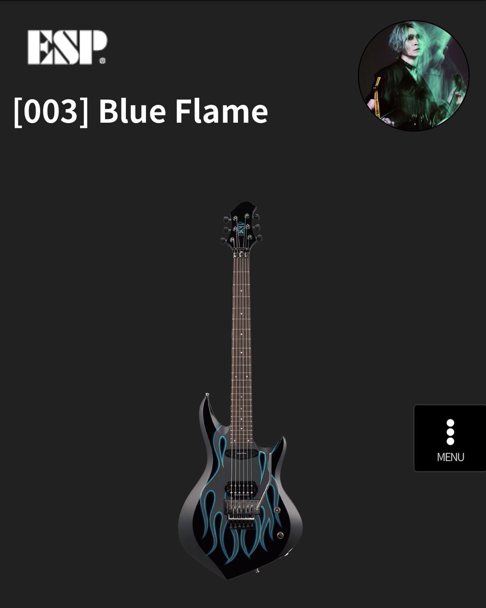 黙ってましたけどアイジモデル買ったよ🎸 2年後をお楽しみに… 12月から