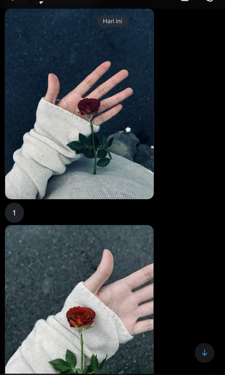 vsarcaz's tweet image. how cute you are