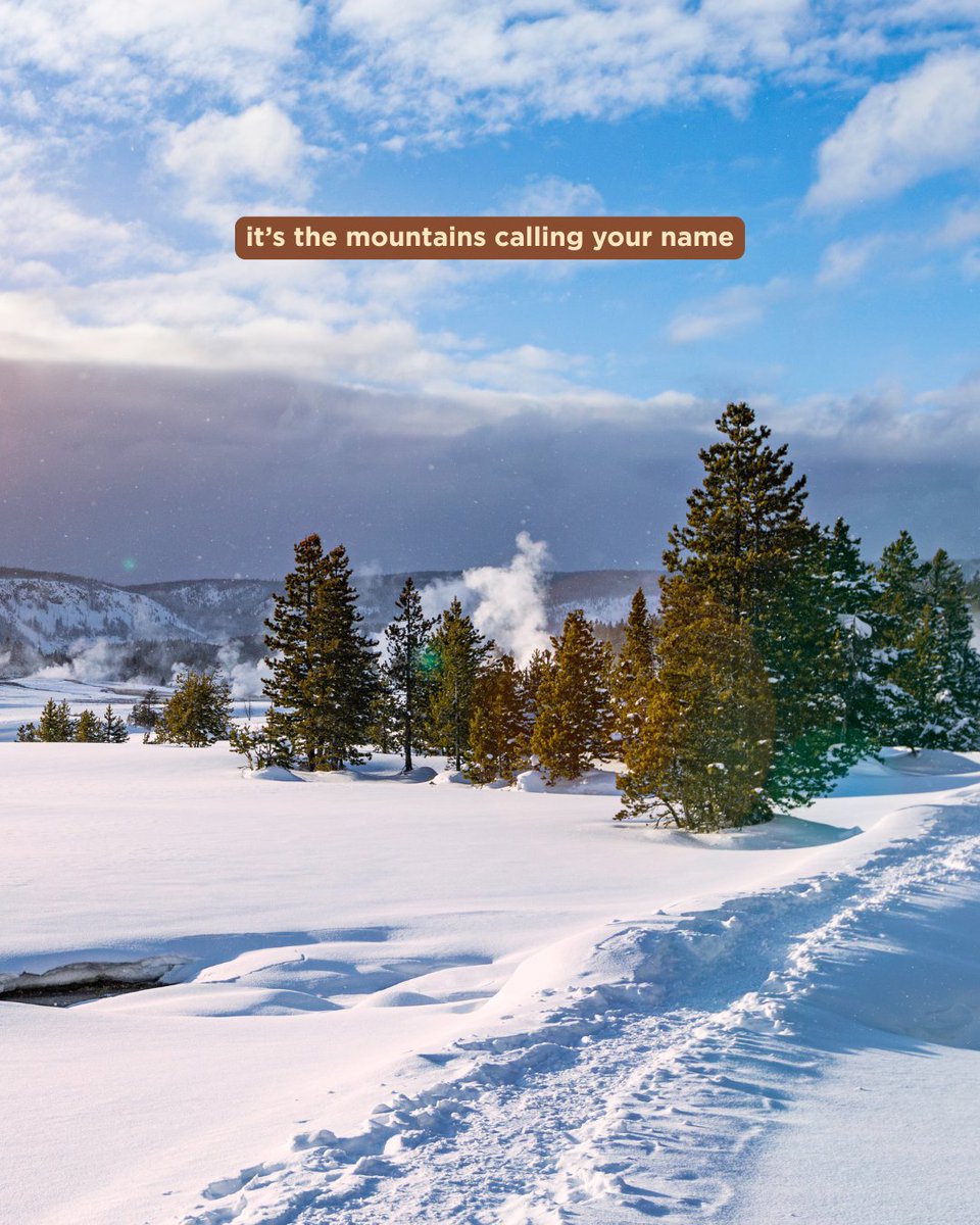 Feel the winter magic ❄️✨ 

Fresh powder, crisp air and endless adventure await in Wyoming. Send this to your adventure sidekick and start planning your snowy escape.

📍@codyyellowstone

#ThatsWY