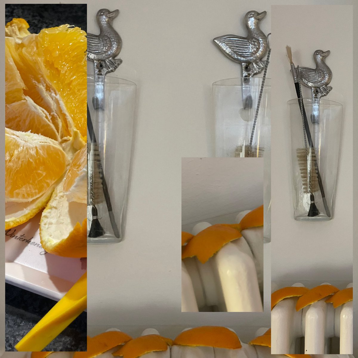 Marianne Schäfer tweet media