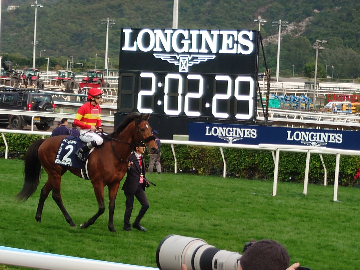 青光 tweet media