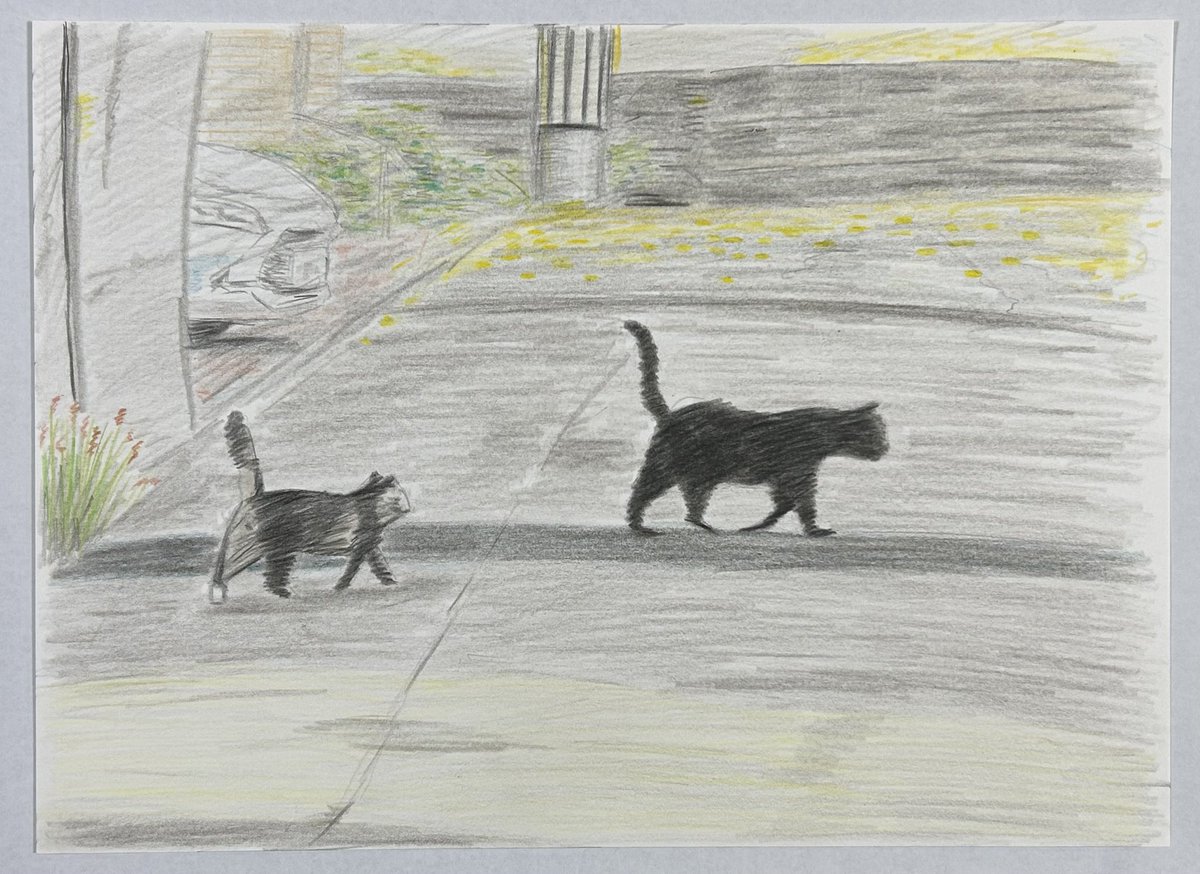 今日描いた絵 路地に猫二匹 （紙、色鉛筆）