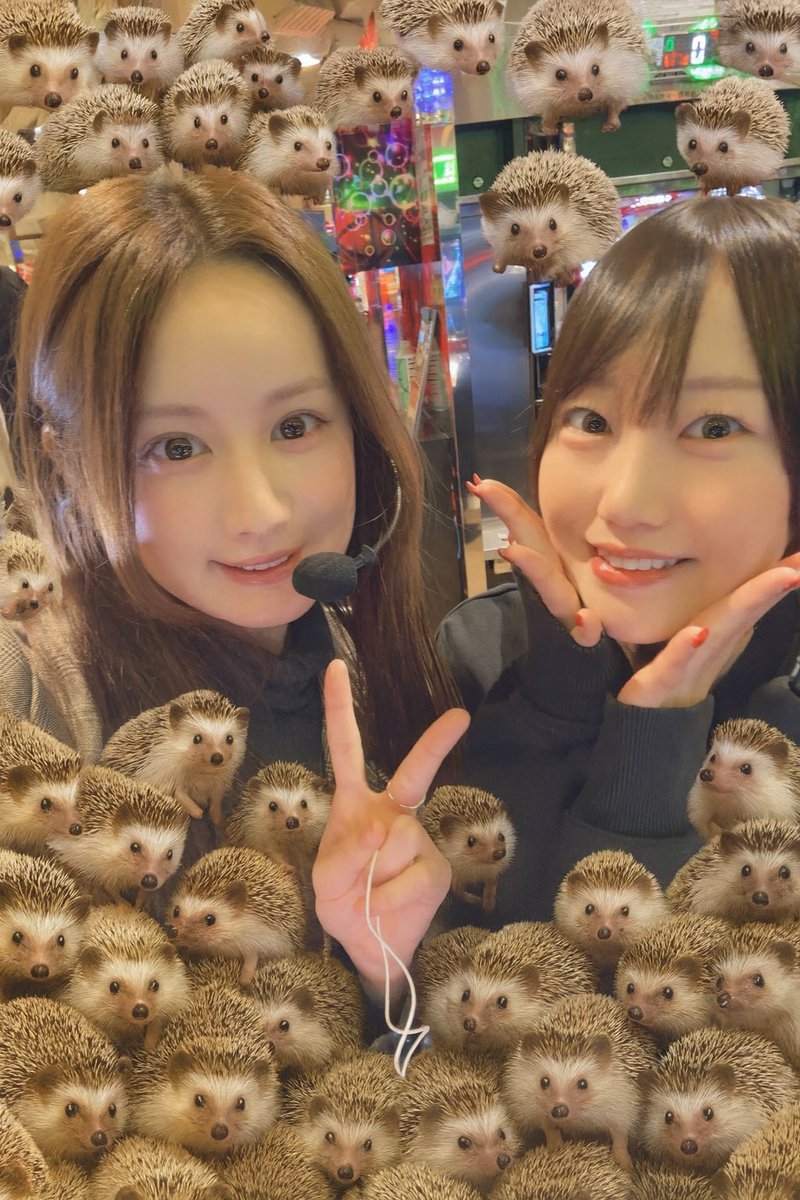 カブトムシゆかり🐜 (@KBT_Yukari) / Posts / X