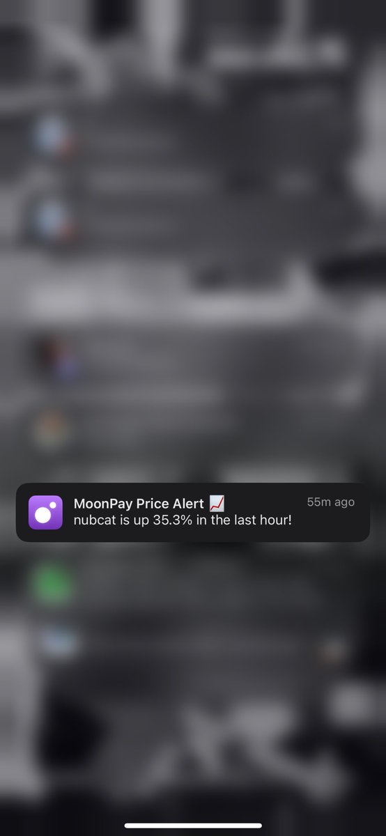 there is no better feeling than woking up to this noti

never fade nub

nubcat for the culture
