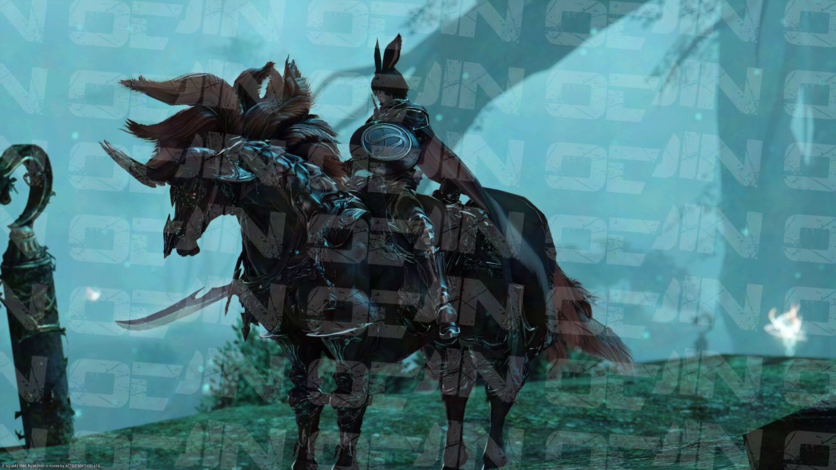 20251214 초코보 오딘 Rain 님