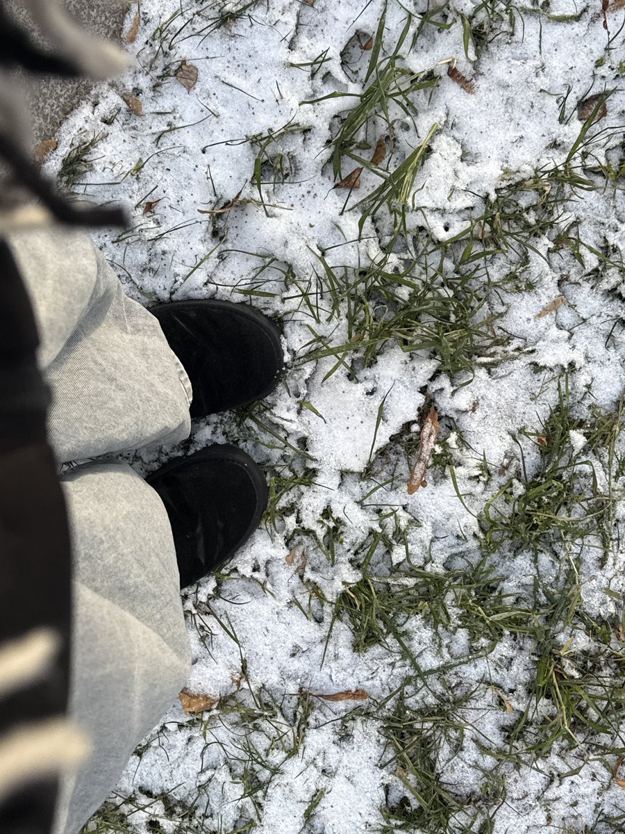 vivianstrawbery's tweet photo. ❄️ https://t.co/lqksanGMGT