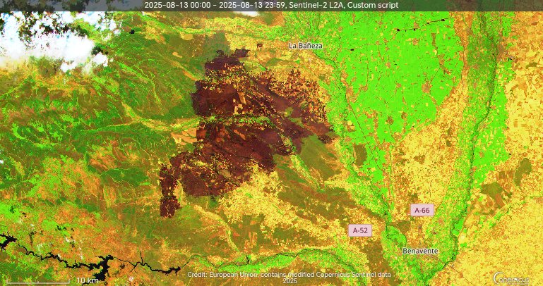 Marcos Alvarez tweet media