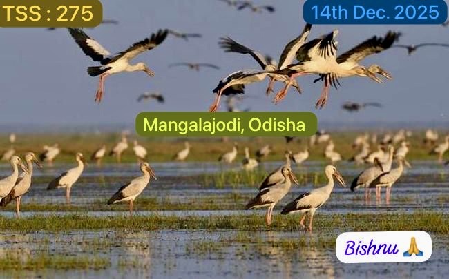 Bishnu  C Parida tweet media