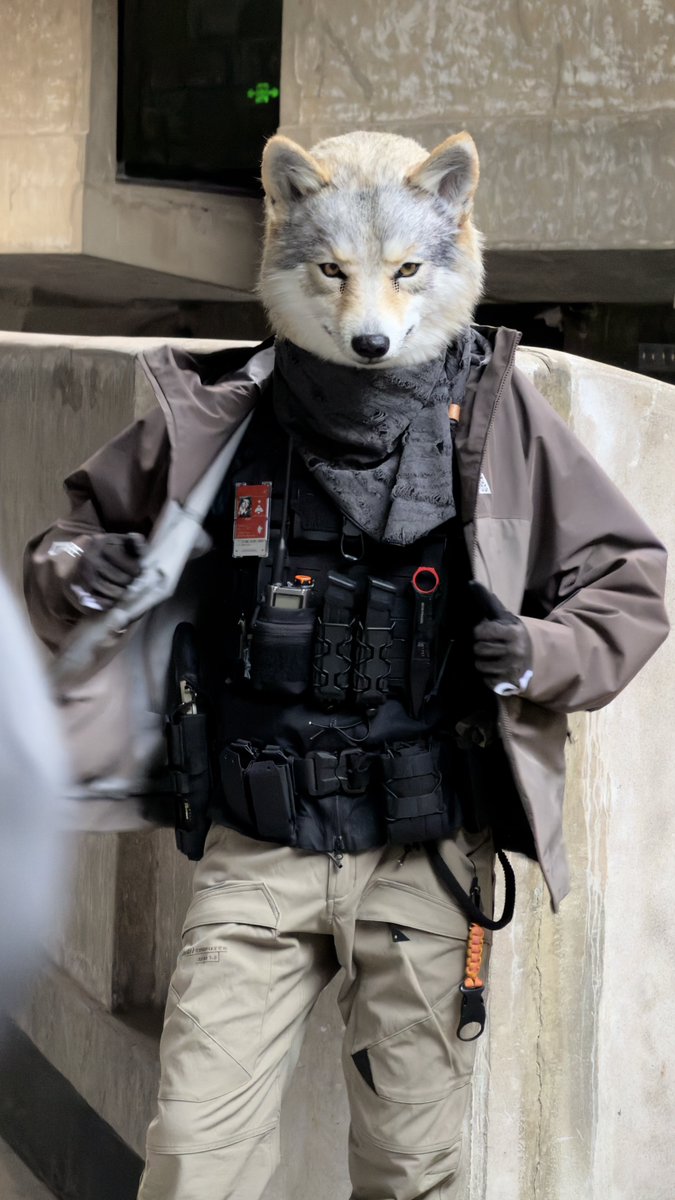 DOUGLAB_Ashen's tweet image. tactical style

#FursuitEveryday
#DOUGLAB