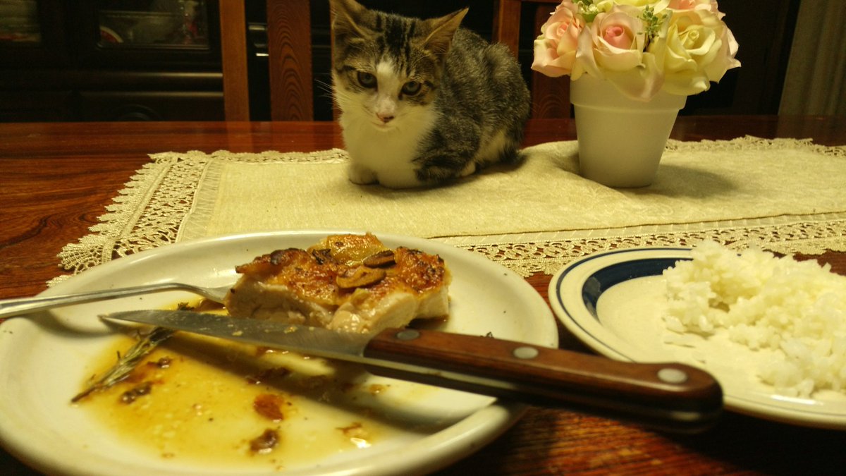 shippoXqueue's tweet photo. 8年前と今、全く変わってないの草 https://t.co/m5ax4FWnYR