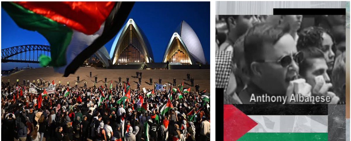 <a href="/PaulineHansonOz/">Pauline Hanson 🇦🇺</a> This is the result of a PM living his university wet dream of recognising Palestine,  the NSW Gov that failed to condemn the Opera House demonstrations on the 9th October and State Governments that allowed antisemitic hate to fill our streets for two years.  #Bondi #ResignAlbo