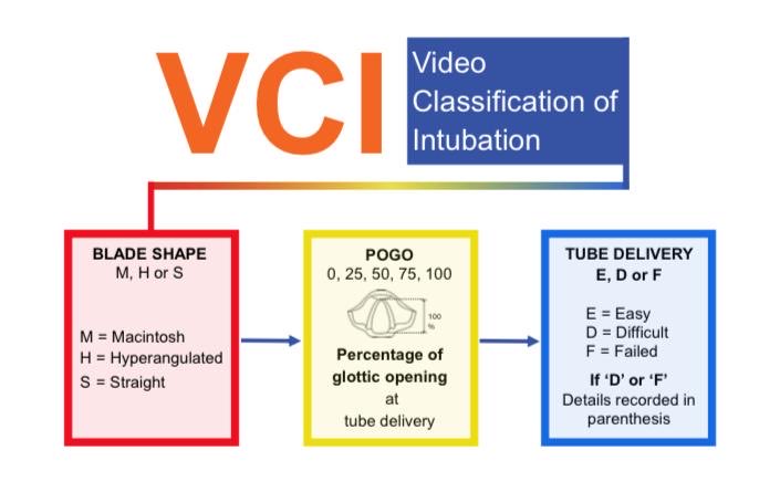 VCIproject tweet media