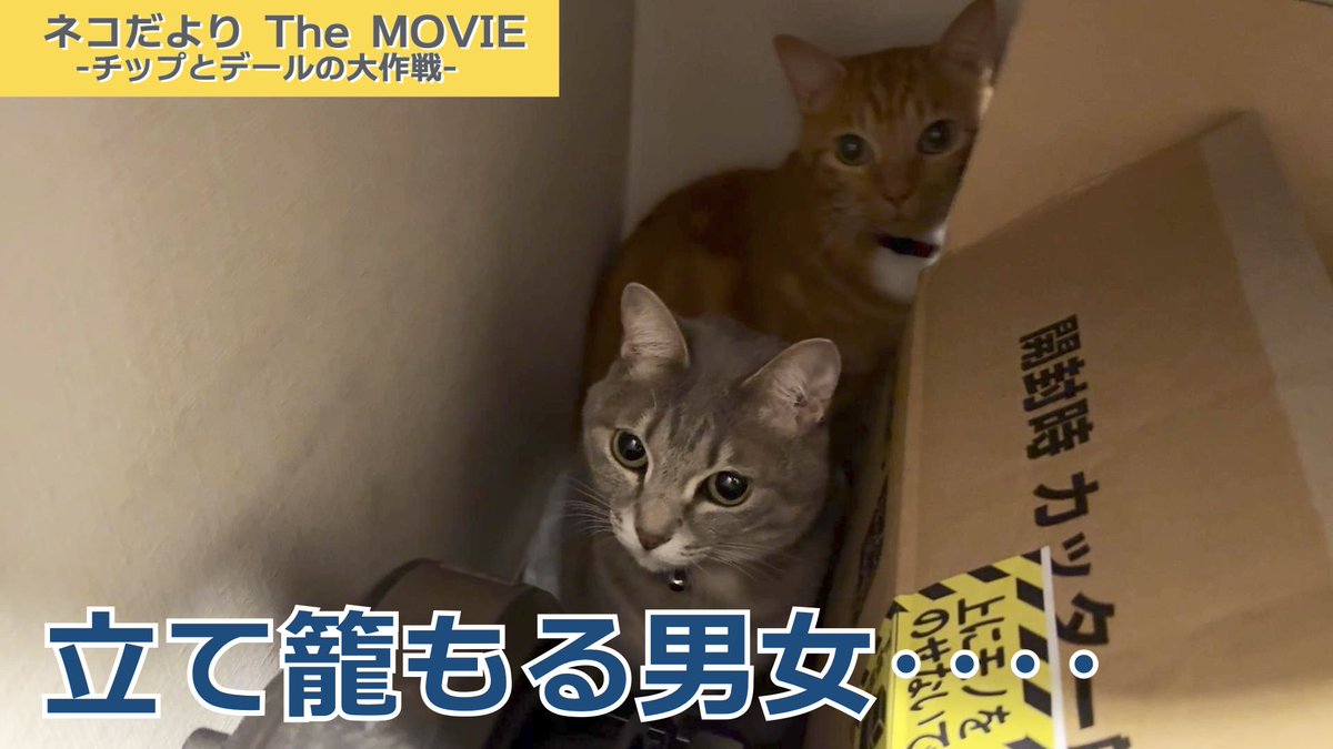 拓さま (@takusama1977) / Posts / X