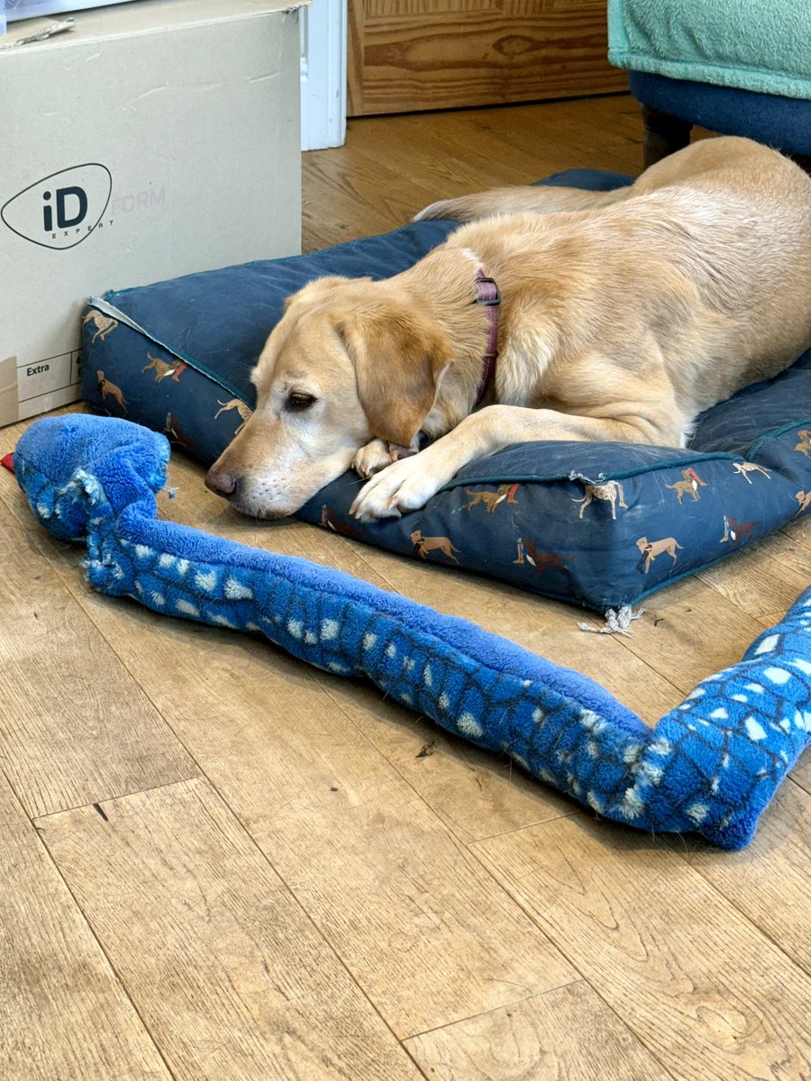 Dinan Gunawardena tweet media