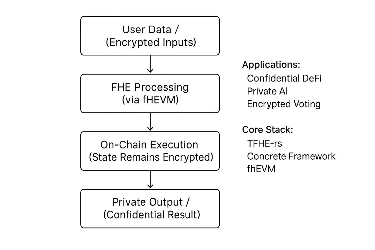 🔮 PAF 🧙♂️ tweet media