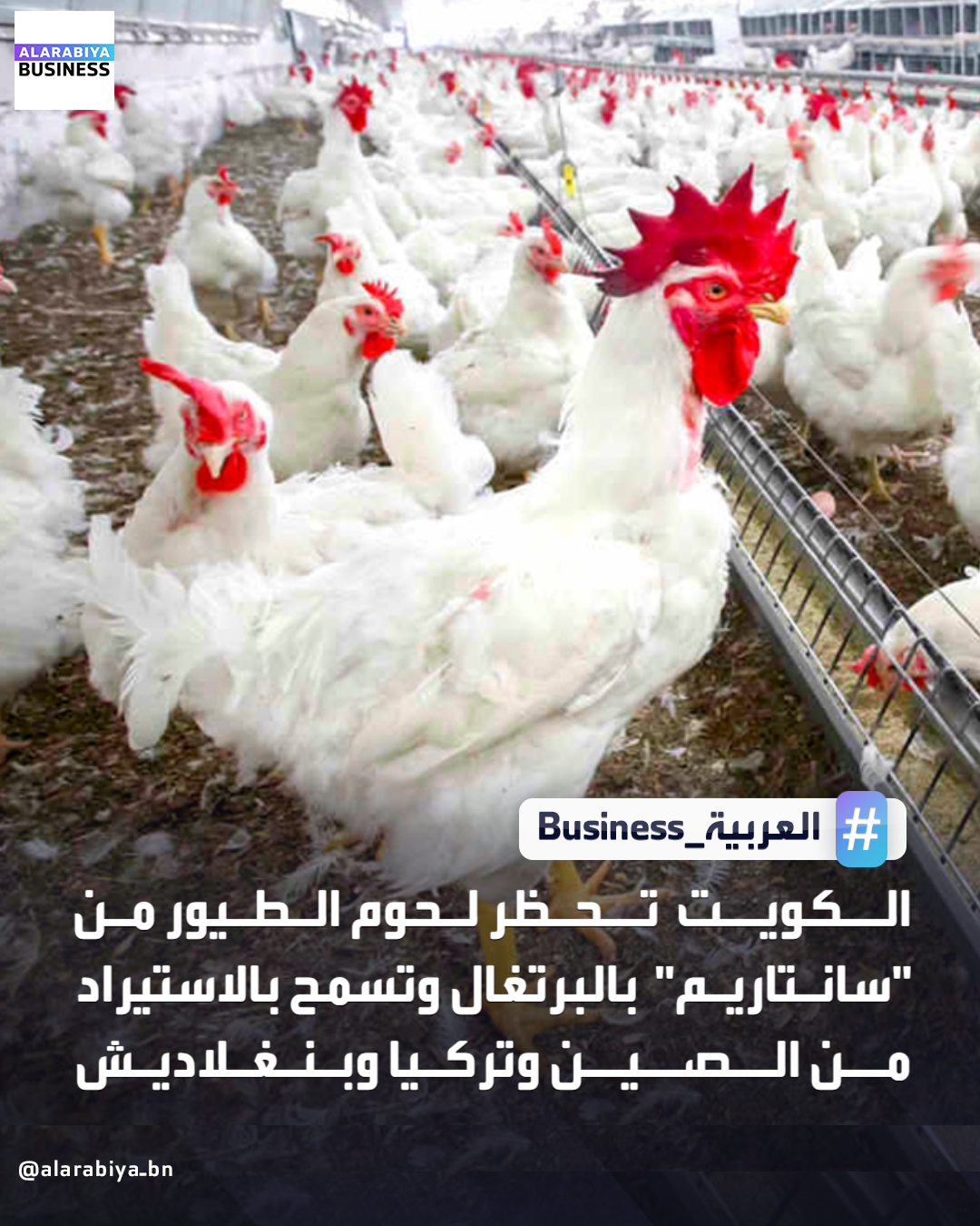 أوصت الهيئة العامة للغذاء والتغذية الكويتية بحظر استيراد جميع لحوم الطيور ومنتجاتها وبيض المائدة من محافظة سانتاريم البرتغالية، باستثناء المعالج حراريًا، بسبب تفشي إنفلونزا الطيور شديدة الحرارة. كما قررت رفع الحظر عن استيراد لحوم الطيور ومنتجاتها وبيض المائدة من الصين وتركيا وبنغلاديش بعد انتهاء تفشي المرض في تلك الدول _Business 