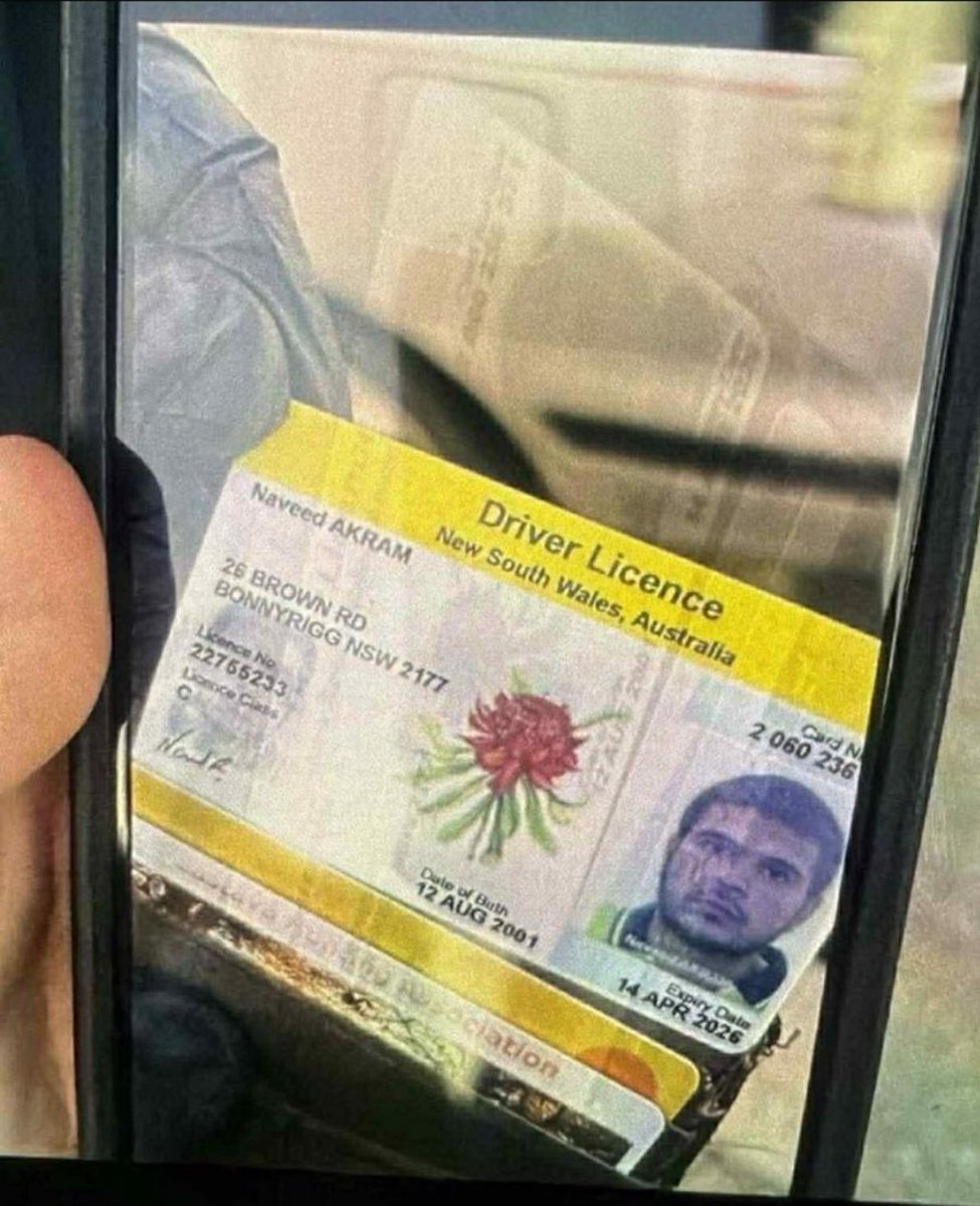 Grossbard01's tweet image. 