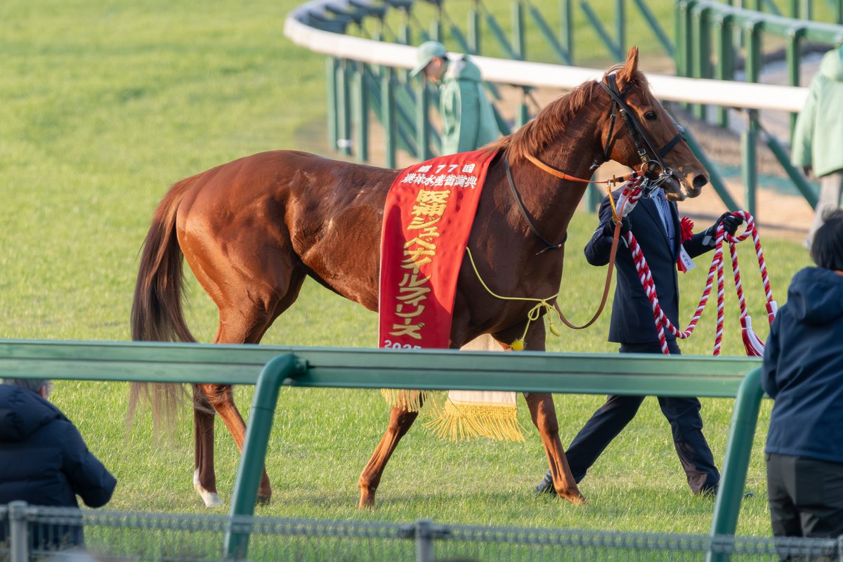 GI 阪神ジュベナイルフィリーズ スターアニス 優勝レイをば